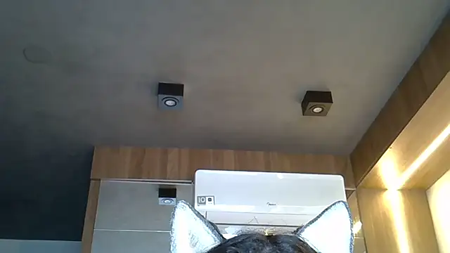 Snapshot of Skinny-Kitten chatting on November 1, 2025, 9:36 am Skinny-Kitten online show from November 1, 2025, 9:36 am