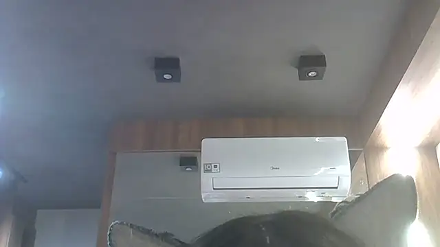 Skinny-Kitten online show from January 15, 2026, 3:32 am