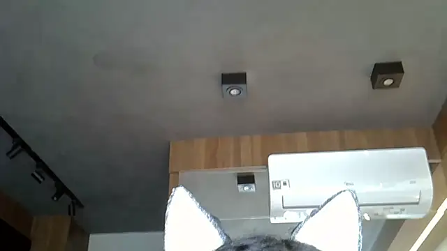 Snapshot of Skinny-Kitten chatting on November 9, 2025, 5:06 pm Skinny-Kitten online show from November 9, 2025, 5:06 pm