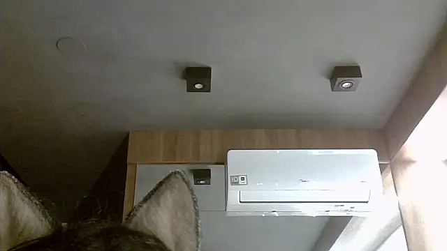 Snapshot of Skinny-Kitten chatting on November 5, 2025, 3:09 am Skinny-Kitten online show from November 5, 2025, 3:09 am