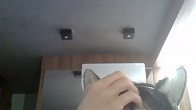 Skinny-Kitten online show from February 17, 2026, 1:36 am