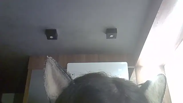 Skinny-Kitten online show from April 9, 2026, 1:18 am