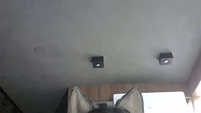 Snapshot of Skinny-Kitten chatting on October 31, 2025, 9:32 pm Skinny-Kitten online show from October 31, 2025, 9:32 pm