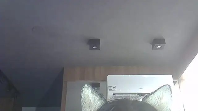 Snapshot of Skinny-Kitten chatting on December 3, 2025, 11:14 pm Skinny-Kitten online show from December 3, 2025, 11:14 pm