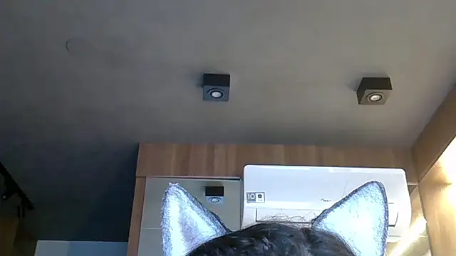 Snapshot of Skinny-Kitten chatting on October 28, 2025, 5:34 pm Skinny-Kitten online show from October 28, 2025, 5:34 pm