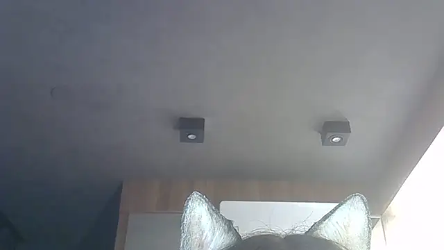 Snapshot of Skinny-Kitten chatting on December 15, 2025, 1:44 am Skinny-Kitten online show from December 15, 2025, 1:44 am