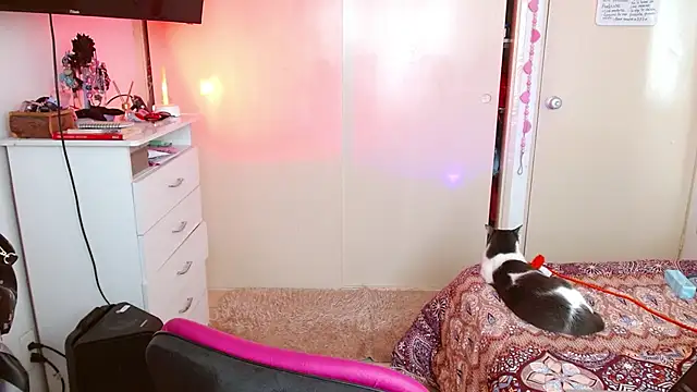 alisseallie online show from March 21, 2026, 2:32 pm