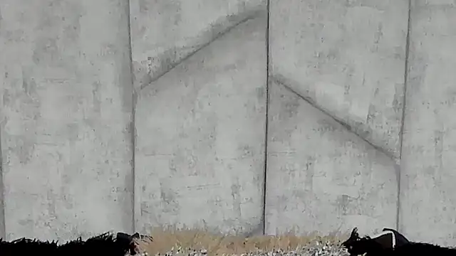 Snapshot of EmmaWillde chatting on December 10, 2024, 5:00 pm EmmaWillde online show from December 10, 2024, 5:00 pm