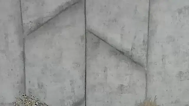 Snapshot of EmmaWillde chatting on December 20, 2024, 1:54 pm EmmaWillde online show from December 20, 2024, 1:54 pm