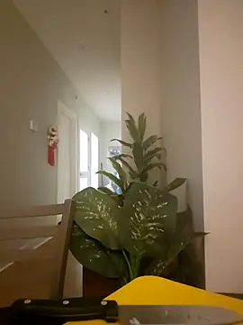 lofibunni online show from March 18, 2026, 6:42 pm