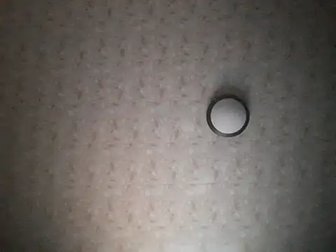 Snapshot of Stormward chatting on November 30, 2025, 11:38 pm Stormward online show from November 30, 2025, 11:38 pm