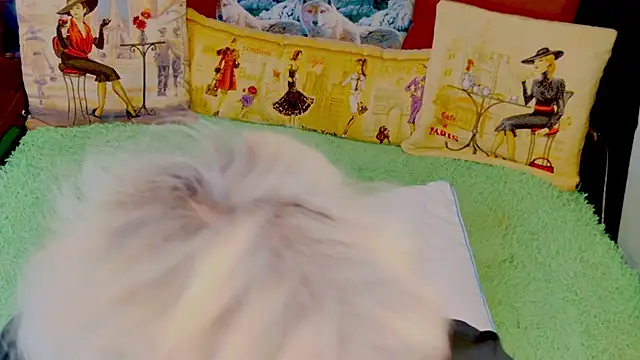 stiphlermom online show from November 29, 2025, 3:34 pm