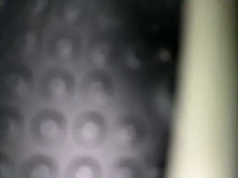 Snapshot of Danii0790 chatting on November 8, 2025, 6:39 am Danii0790 online show from November 8, 2025, 6:39 am