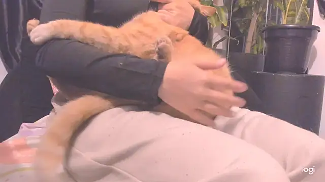 Snapshot of MYFAVOURITESTRAGER chatting on November 23, 2025, 2:54 am MYFAVOURITESTRAGER online show from November 23, 2025, 2:54 am