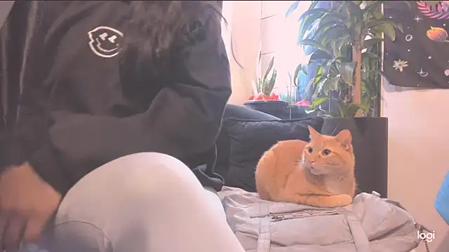 Snapshot of MYFAVOURITESTRAGER chatting on October 21, 2025, 4:17 pm MYFAVOURITESTRAGER online show from October 21, 2025, 4:17 pm