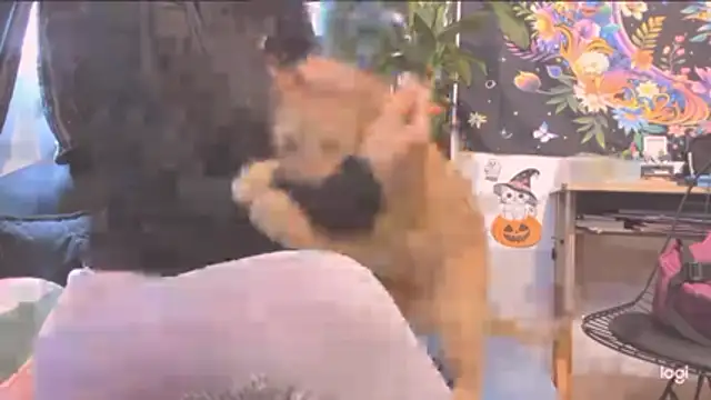 Snapshot of MYFAVOURITESTRAGER chatting on October 30, 2025, 4:04 pm MYFAVOURITESTRAGER online show from October 30, 2025, 4:04 pm