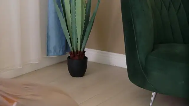 Snapshot of Bailey_Rush chatting on December 5, 2025, 3:54 pm Bailey Rush online show from December 5, 2025, 3:54 pm