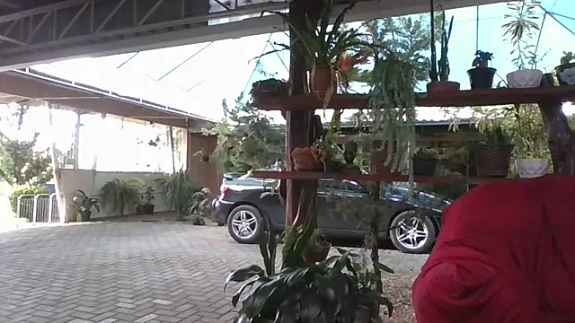 Kellynha Sweet online show from April 10, 2026, 6:04 pm