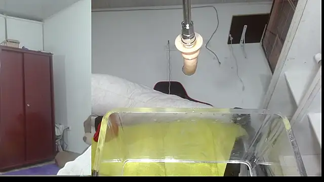 Snapshot of sammyEvans__ chatting on November 7, 2025, 11:19 pm sammyEvans online show from November 7, 2025, 11:19 pm