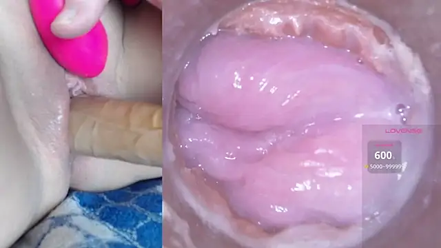 Snapshot of danigirl866 chatting on January 14, 2025, 11:48 pm danigirl866 online show from January 14, 2025, 11:48 pm