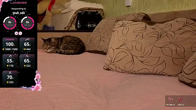 Miss Flexi fit online show from April 4, 2026, 8:37 pm