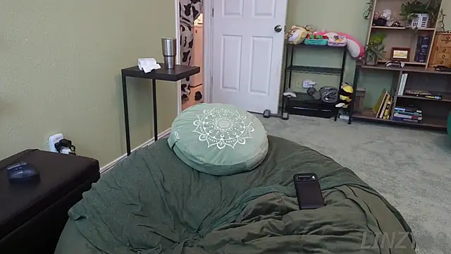 Linzy 19 online show from December 17, 2025, 2:33 pm