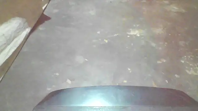 booty big online show from October 4, 2025, 7:15 pm