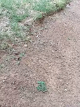 Snapshot of Vuyokaki chatting on February 3, 2026, 3:06 pm Vuyokaki online show from February 3, 2026, 3:06 pm