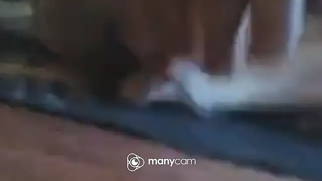 immerGeil79 online show from April 5, 2026, 5:58 am