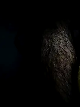 Bigcockmexi13 online show from April 18, 2026, 7:29 pm