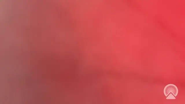 Snapshot of Aulonocara86 chatting on February 10, 2026, 12:15 pm Aulonocara86 online show from February 10, 2026, 12:15 pm