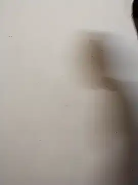 Snapshot of Shuttii_25 chatting on December 28, 2024, 4:19 am Shuttii 25 online show from December 28, 2024, 4:19 am