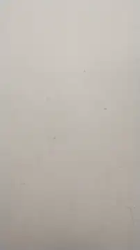 Snapshot of Shuttii_25 chatting on January 25, 2025, 10:08 am Shuttii 25 online show from January 25, 2025, 10:08 am