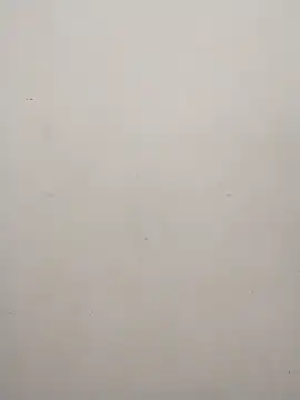 Snapshot of Shuttii_25 chatting on January 31, 2025, 5:40 am Shuttii 25 online show from January 31, 2025, 5:40 am