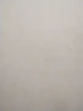 Snapshot of Shuttii_25 chatting on February 10, 2025, 9:14 am Shuttii 25 online show from February 10, 2025, 9:14 am