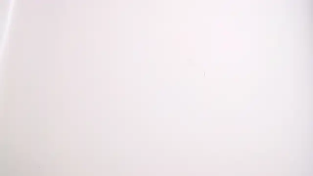 drake brwon 23 online show from February 14, 2026, 6:52 pm