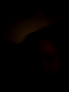 Cumslutsnowbunnie69 online show from December 22, 2025, 7:19 am