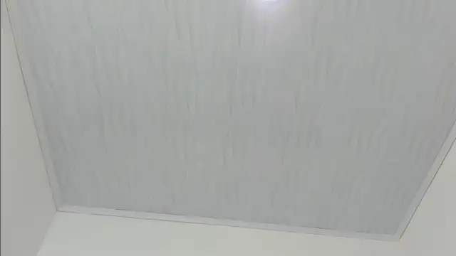 Snapshot of merlyna_goldens chatting on November 22, 2025, 11:31 am merlyna goldens online show from November 22, 2025, 11:31 am