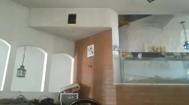 Stevenson988 online show from February 6, 2025, 7:07 pm