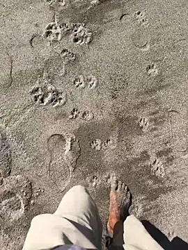 Snapshot of kvr27 chatting on January 7, 2026, 3:06 pm kvr27 online show from January 7, 2026, 3:06 pm