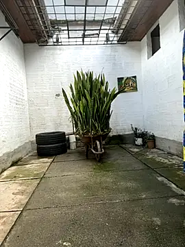 Snapshot of oliver_price1 chatting on October 27, 2025, 7:26 pm oliver price1 online show from October 27, 2025, 7:26 pm