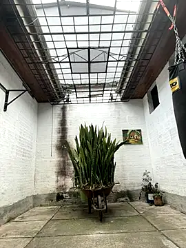 Snapshot of oliver_price1 chatting on September 26, 2025, 6:59 pm oliver price1 online show from September 26, 2025, 6:59 pm