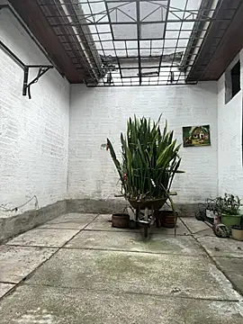 Snapshot of oliver_price1 chatting on January 10, 2026, 8:26 pm oliver price1 online show from January 10, 2026, 8:26 pm