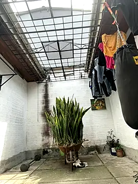 Snapshot of oliver_price1 chatting on September 25, 2025, 6:36 pm oliver price1 online show from September 25, 2025, 6:36 pm