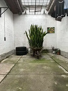 Snapshot of oliver_price1 chatting on November 13, 2025, 9:19 pm oliver price1 online show from November 13, 2025, 9:19 pm