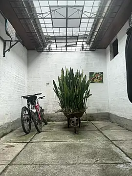 oliver price1 online show from March 23, 2026, 6:52 pm