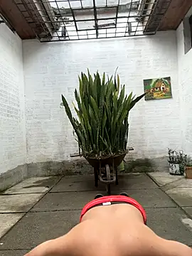 Snapshot of oliver_price1 chatting on October 17, 2025, 8:21 pm oliver price1 online show from October 17, 2025, 8:21 pm